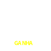 Informação da Conta